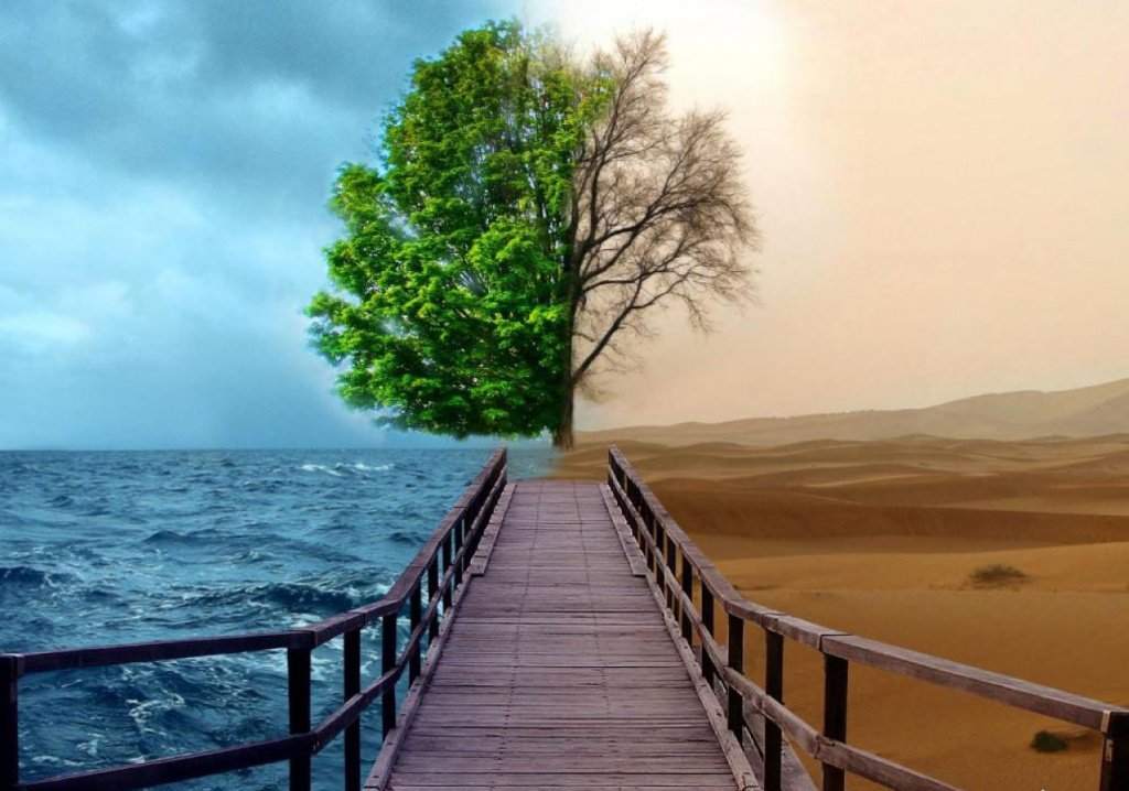 2 пути.jpg 2 пути.jpg