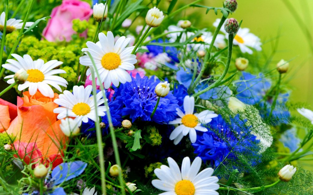 flowers.jpg flowers.jpg