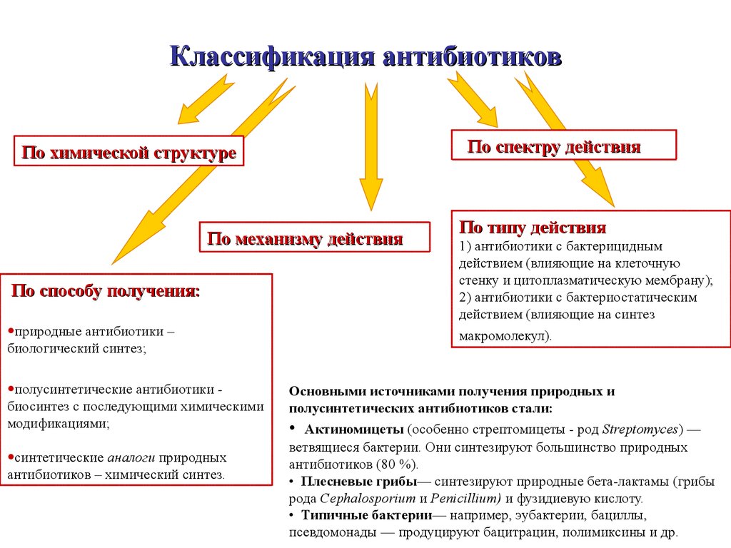 Антибиотрики. Источники антибиотиков и история появления. Как действуют  антибиотики? Вредны ли? - Клиника IsraClinic